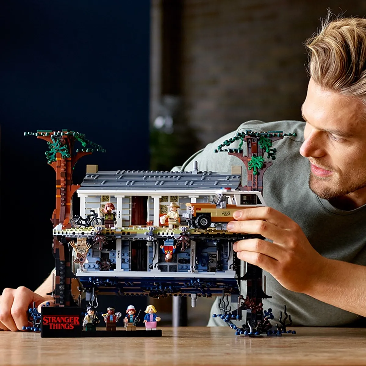 Modelo de Casa para adultos